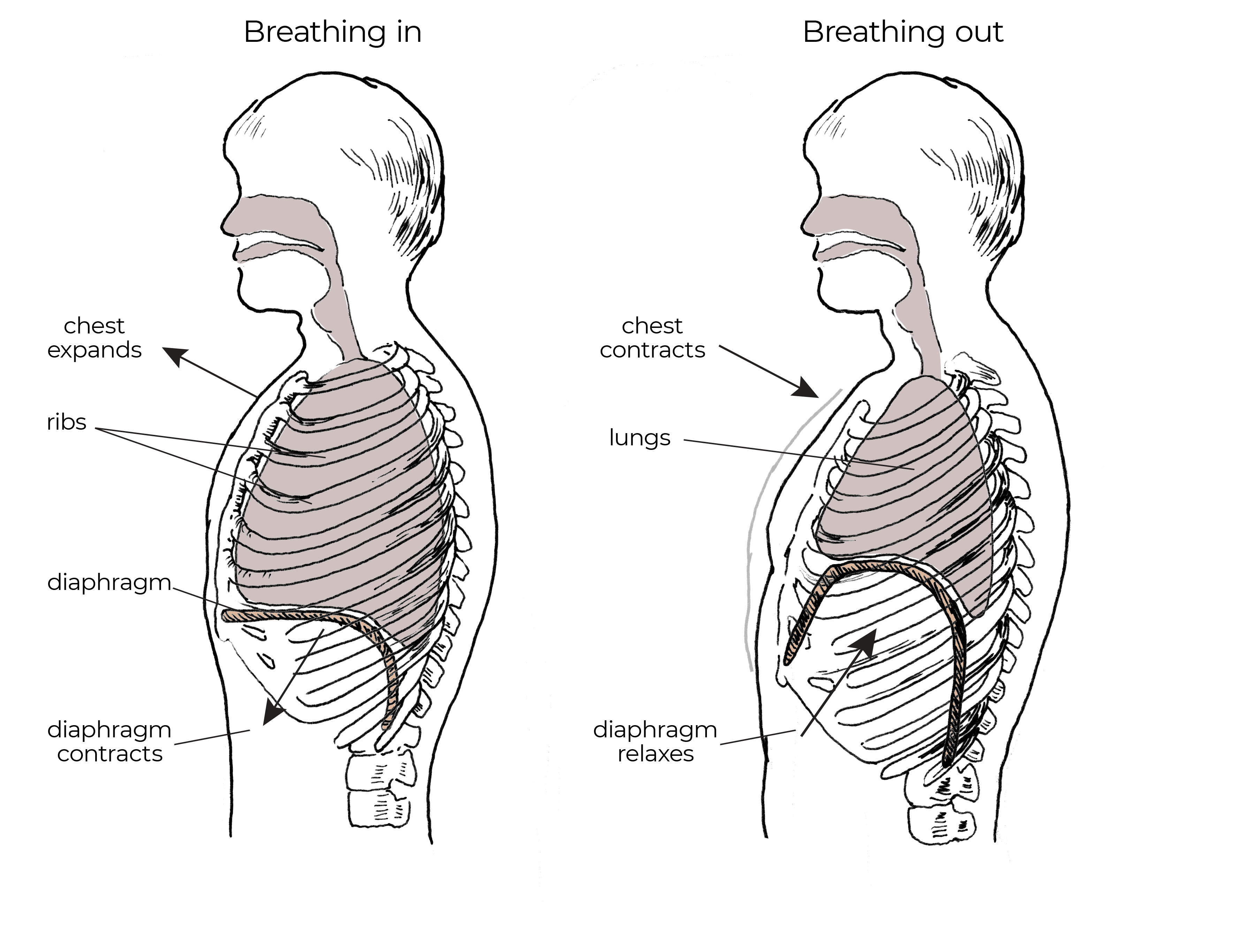 How to breath Efficiently when playing the Kaval